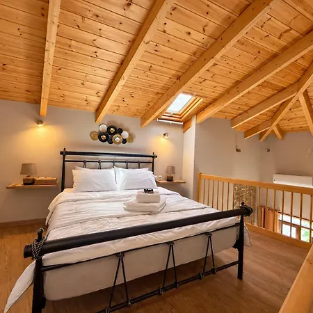 δρυάδες Apartment Arachova